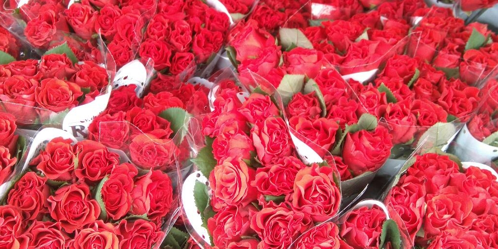 Kiitos kaikille äänestäjillemme!