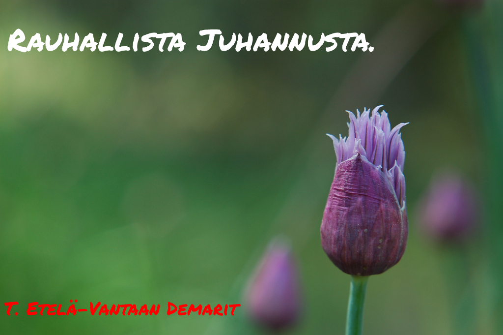 Hyvää Juhannusta.