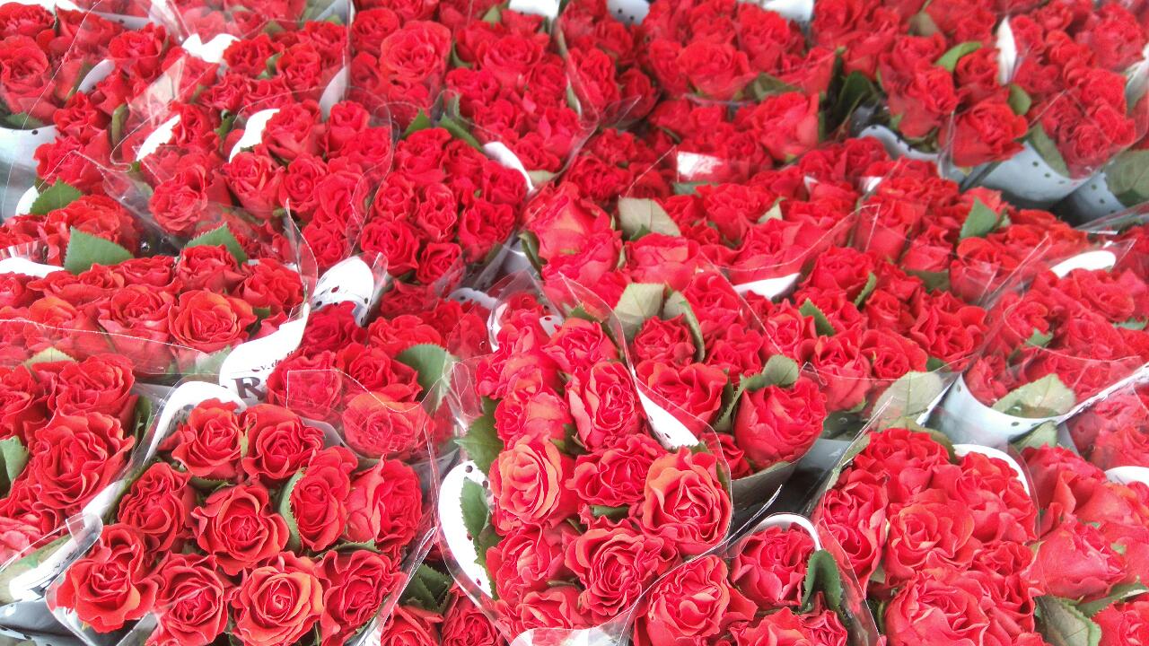 Yhdistyksemme puoluekokousedustajat