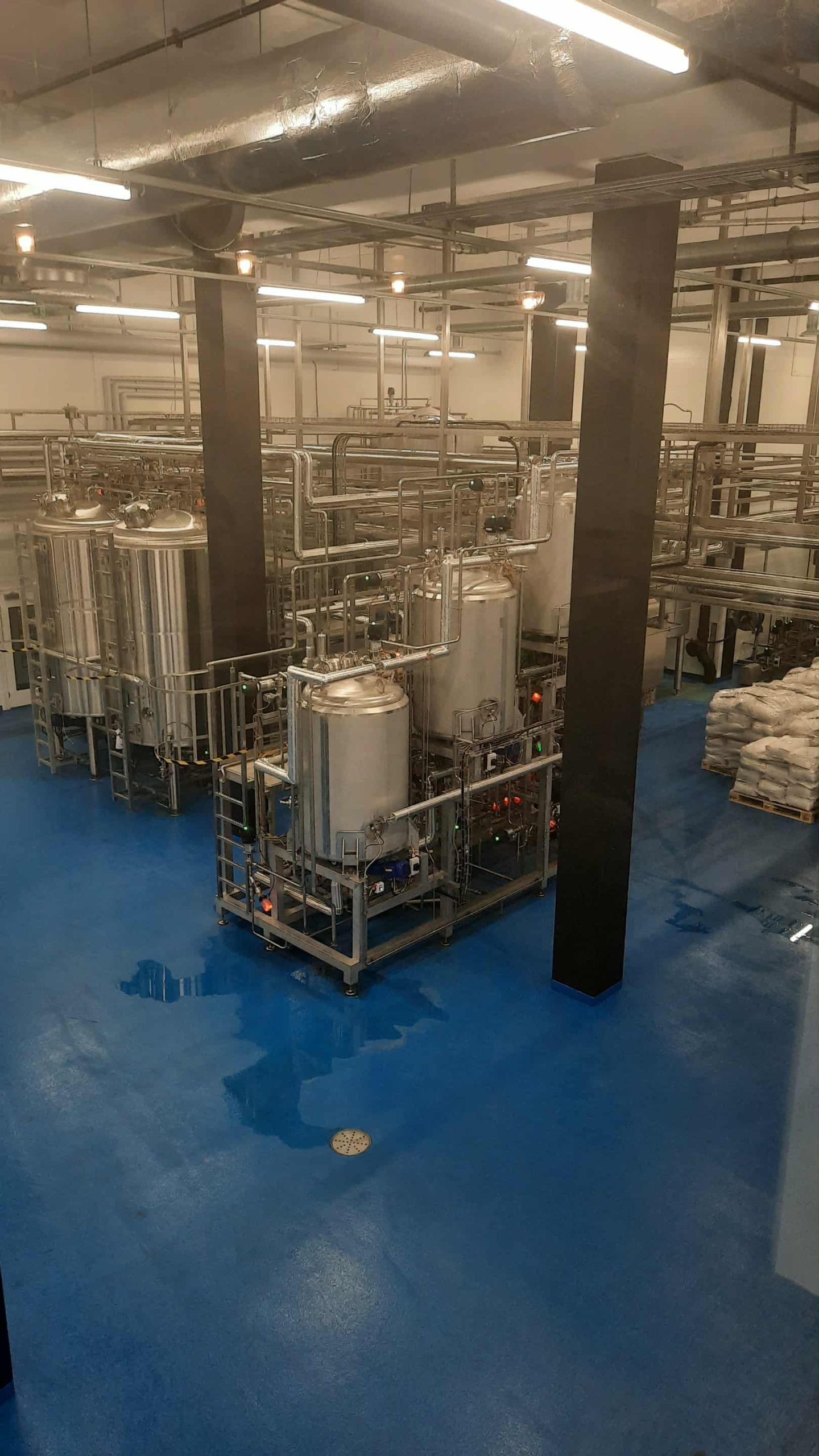 Länsi-Vantaan demarit Solar Foodsilla